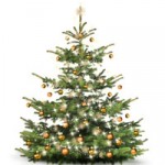 Geschmueckter Weihnachtsbaum